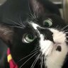 Kiwi's profile picture