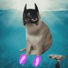 240.eth's profile picture