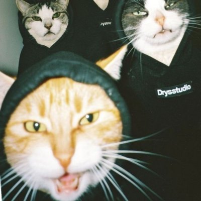 RealBoss1409's profile picture
