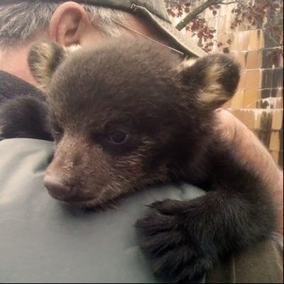 Crane 🐾's profile picture