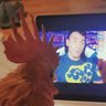 🏳️⚧️🤼♀️ let's be turnbuckles's profile picture