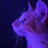 pickxst profil fotoğrafı