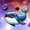 Profilbild von Mrwhalesol