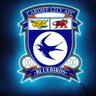 Rob's profile picture