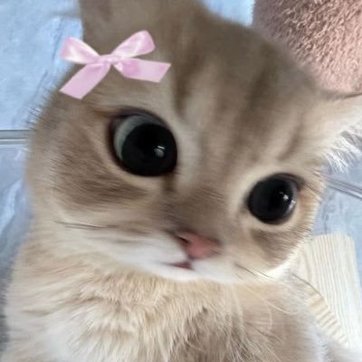 xxacgt's profile picture