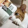 아마 profil fotoğrafı