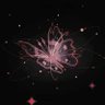 ⋆˚𝜗𝜚˚⋆'s profile picture