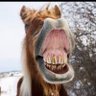 Profilbild von Tony