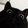Profilbild von gwensus