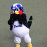 まなぽん🐴低浮上😅's profile picture