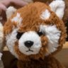 大福's profile picture