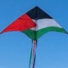 Moi 🇵🇸🇱🇧🇸🇾 🇮🇷🍉🔻🍉 #BDS 的头像