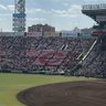野球ときどき野球's profile picture
