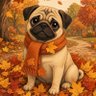 PugWild 的头像
