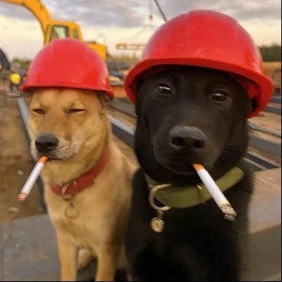 66_99520's profile picture
