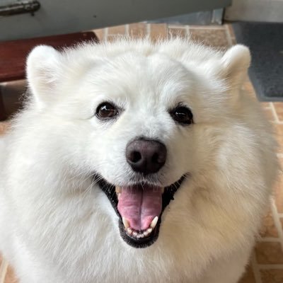 j18_am's profile picture