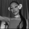 raffi ꕤ || petal!'s profile picture