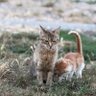 bonheur+ profil fotoğrafı