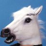 Profilbild von 西 大介