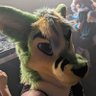 Citrox -🦘🐉🍋 ~ Lemons?'s profile picture