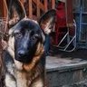 Christine Munsch profil fotoğrafı