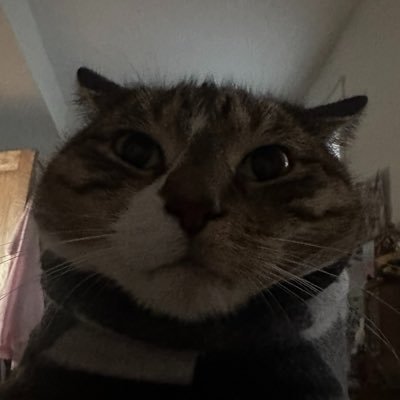 pisces_bri's profile picture