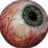 Profilbild von secact