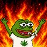 stoney frog 的头像
