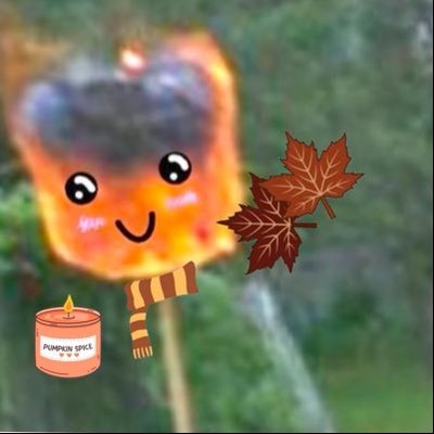 fiascá spice's profile picture