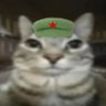 Фото профиля ADT