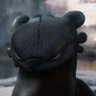 Angel's profile picture