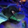 Profilbild von Leviatan DY🇲🇽💚🐉🧡🔜 FE 2027
