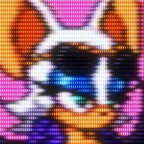 mordanpix's profile picture