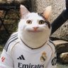 犬 profil fotoğrafı