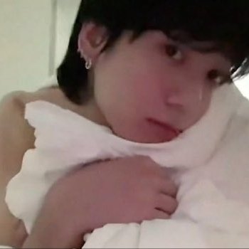gatito gay's profile picture