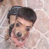 Profilbild von RATATATA