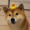 Flurb's profile picture