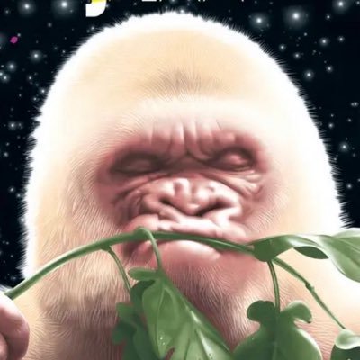 Dr. Robert King's profile picture