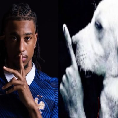 cipriano menor chatão's profile picture