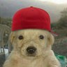 Profilbild von SHOLA