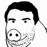 Profilbild von BOAR NIKITA