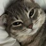 Mnkd Po profil fotoğrafı