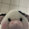 valyne moo🐮 profil fotoğrafı
