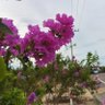 TNTnice profil fotoğrafı