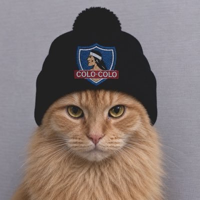 Michi Amarillo del Colo 🏁's profile picture