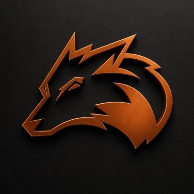 foxifytrade's profile picture