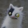 TC's profile picture