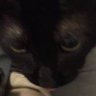 nelly's profile picture