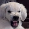 Profilbild von Q