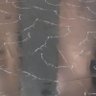 deep SURVE's profile picture